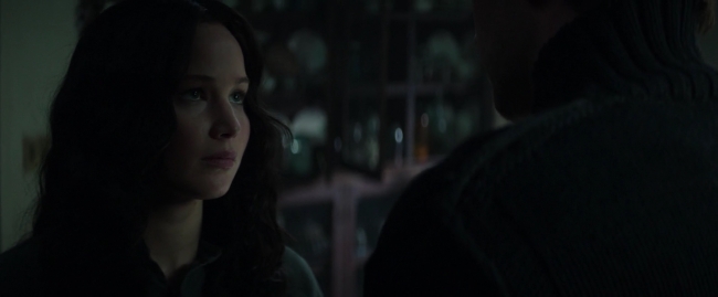 Mockingjay1_3121.jpg