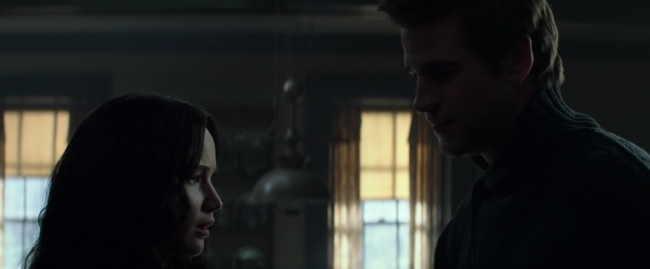 Mockingjay1_3146.jpg