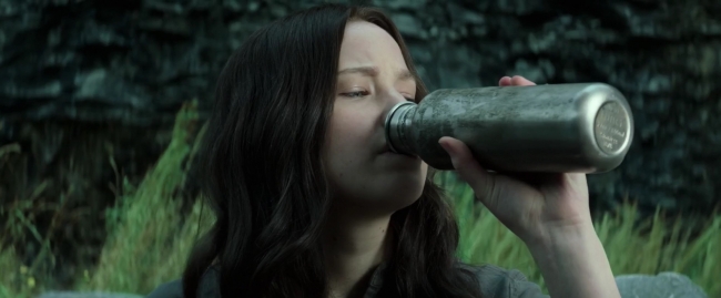 Mockingjay1_3160.jpg