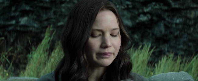 Mockingjay1_3161.jpg