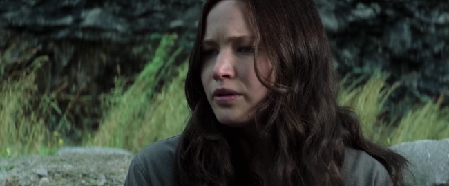Mockingjay1_3206.jpg