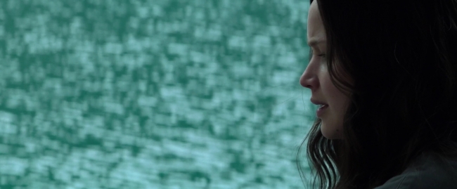 Mockingjay1_3216.jpg