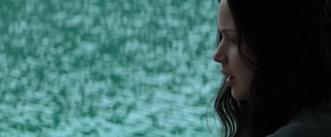 Mockingjay1_3231.jpg