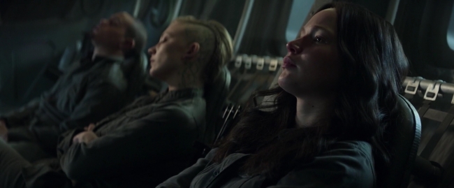 Mockingjay1_3252.jpg