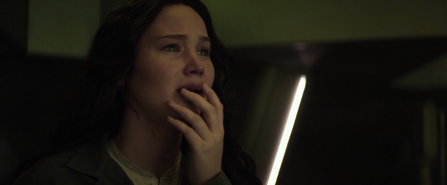 Mockingjay1_3445.jpg