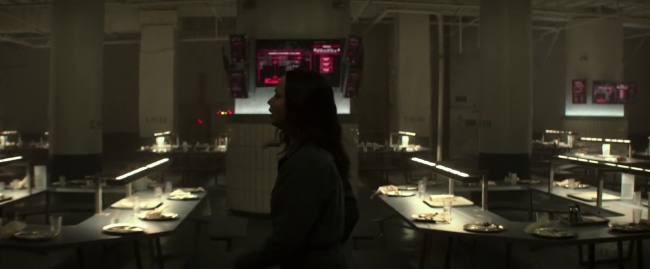 Mockingjay1_3545.jpg