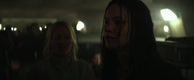 Mockingjay1_3659.jpg