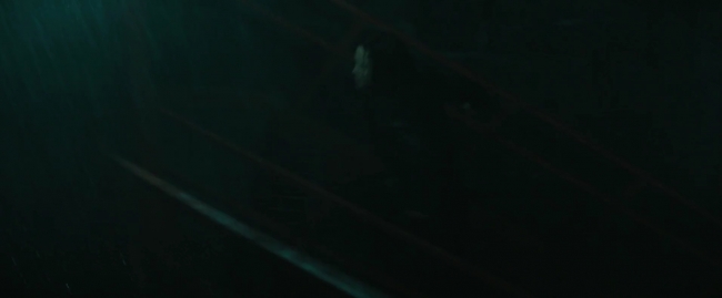 Mockingjay1_3686.jpg
