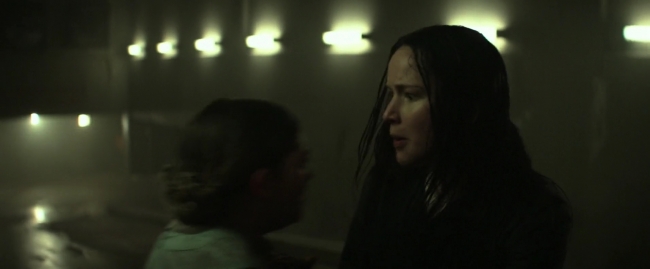 Mockingjay1_3723.jpg