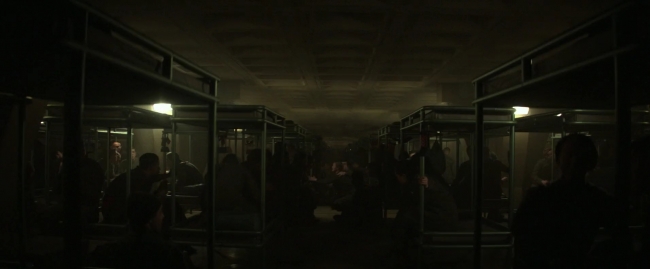Mockingjay1_3804.jpg