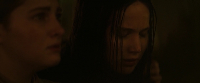 Mockingjay1_3841.jpg