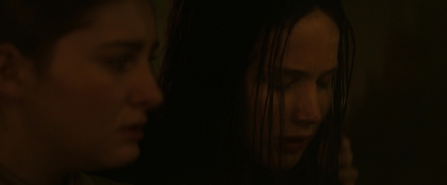 Mockingjay1_3842.jpg