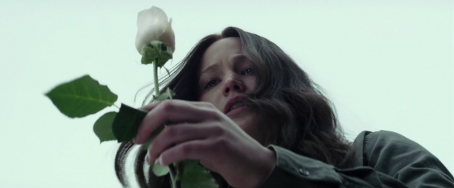 Mockingjay1_4076.jpg