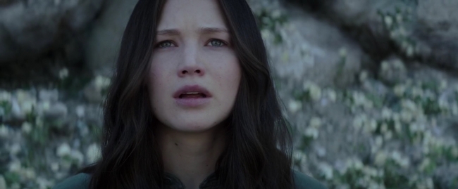 Mockingjay1_4101.jpg