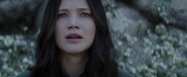 Mockingjay1_4103.jpg