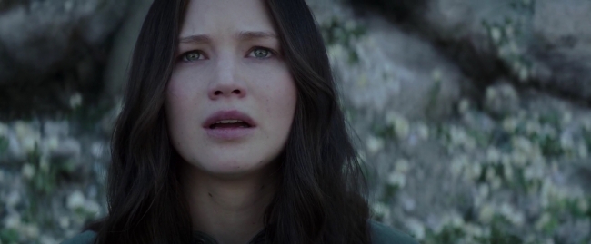 Mockingjay1_4104.jpg