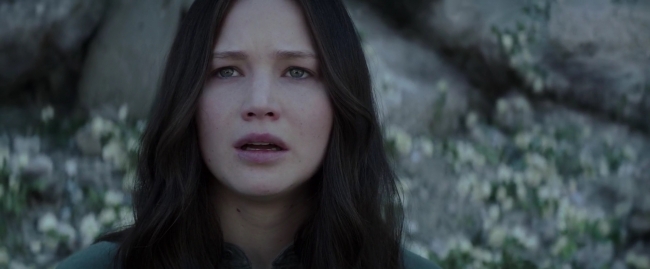 Mockingjay1_4107.jpg