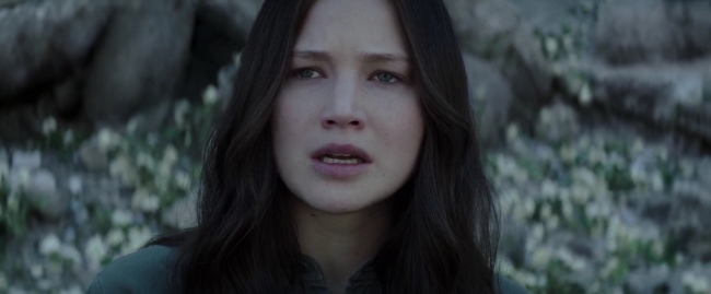 Mockingjay1_4114.jpg