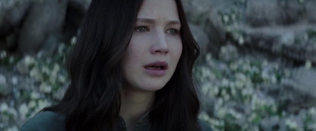 Mockingjay1_4115.jpg