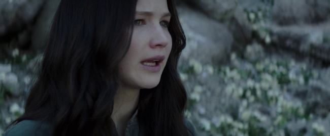 Mockingjay1_4118.jpg