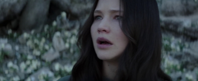 Mockingjay1_4122.jpg
