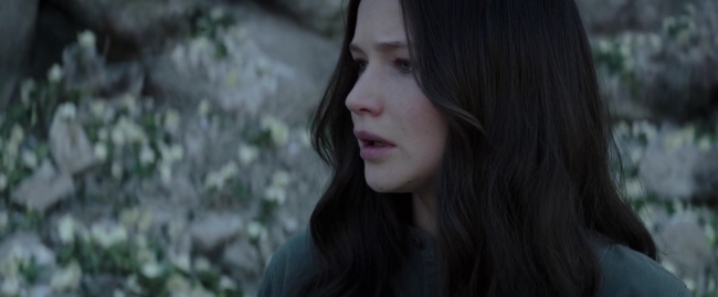 Mockingjay1_4124.jpg