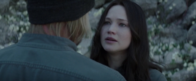 Mockingjay1_4134.jpg