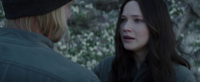 Mockingjay1_4136.jpg
