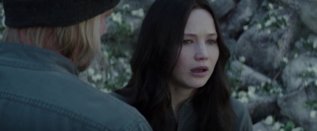 Mockingjay1_4140.jpg