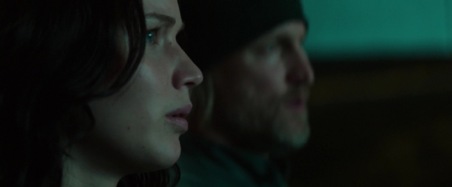 Mockingjay1_4291.jpg