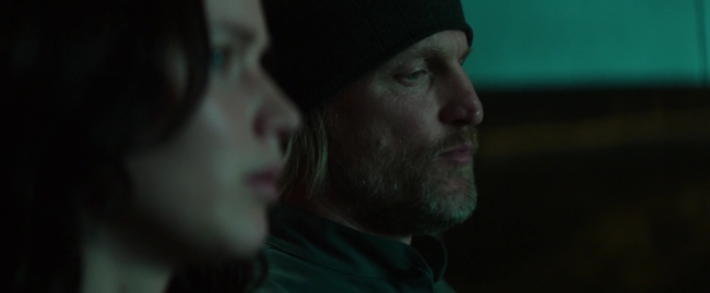 Mockingjay1_4292.jpg