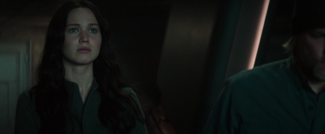 Mockingjay1_4337.jpg