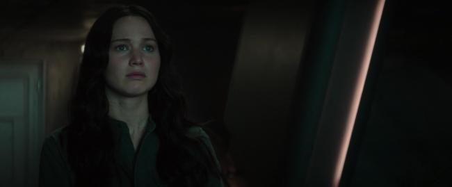 Mockingjay1_4338.jpg