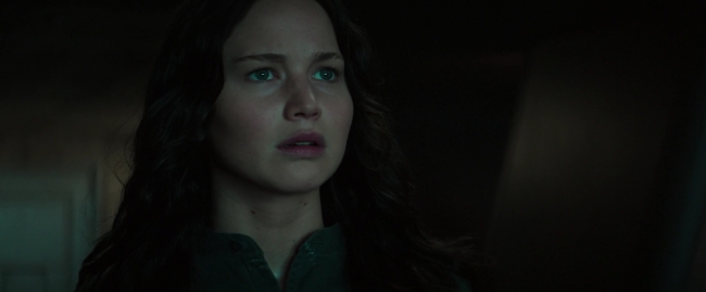 Mockingjay1_4346.jpg