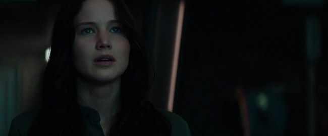 Mockingjay1_4657.jpg