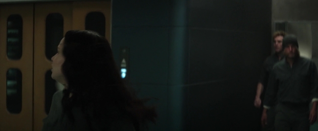 Mockingjay1_4872.jpg
