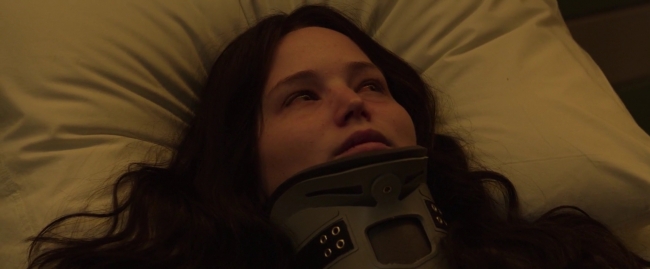 Mockingjay1_5005.jpg