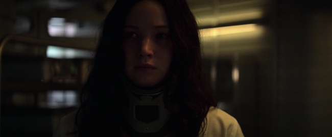 Mockingjay1_5171.jpg