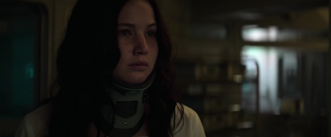 Mockingjay1_5174.jpg