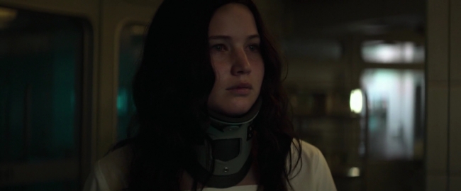 Mockingjay1_5175.jpg