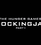 Mockingjay1_0139.jpg