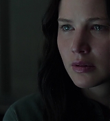 Mockingjay1_0330.jpg