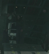 Mockingjay1_0479.jpg