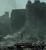 Mockingjay1_0523.jpg