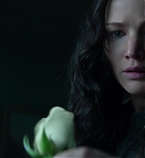 Mockingjay1_0698.jpg