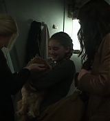 Mockingjay1_0887.jpg