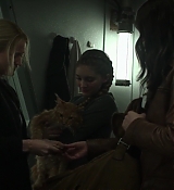 Mockingjay1_0889.jpg