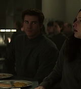 Mockingjay1_0951.jpg