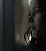 Mockingjay1_1114.jpg
