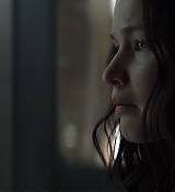 Mockingjay1_1115.jpg
